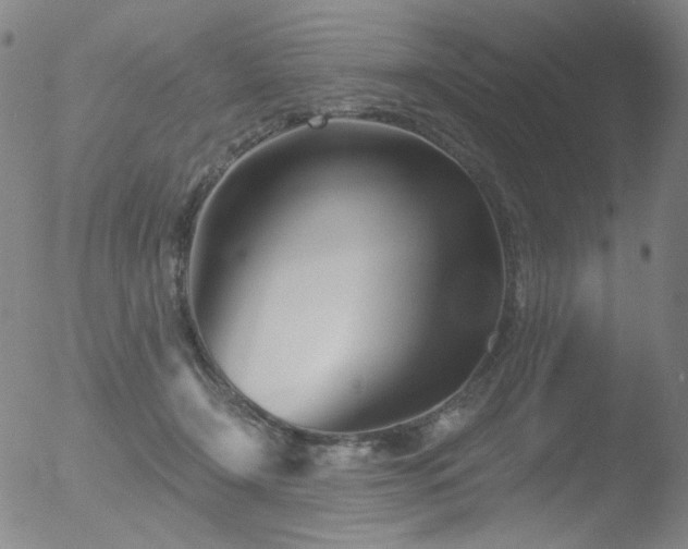 X0000052940366200507081150