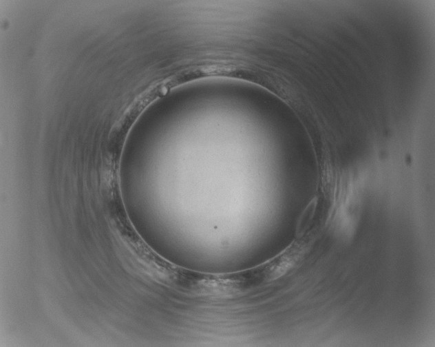 X0000052940367200507081150