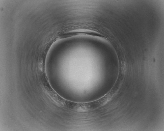 X0000052940368200507081150