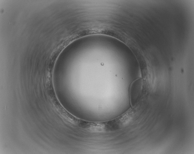 X0000052940369200507081150