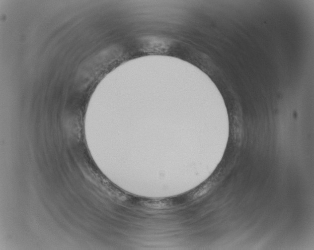 X0000052940370200507081150