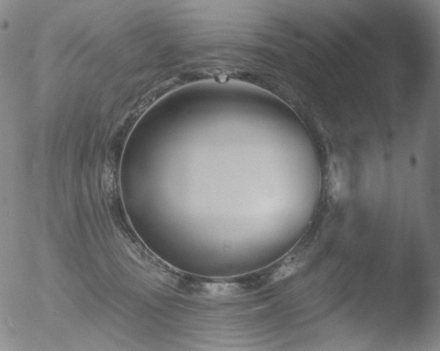 X0000052940371200507081150