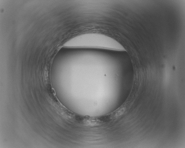 X0000052940372200507081150