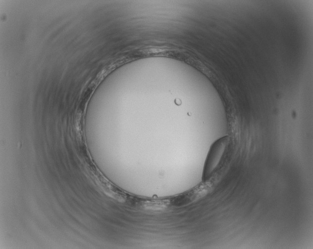 X0000052940373200507081150