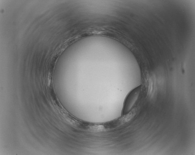 X0000052940374200507081150