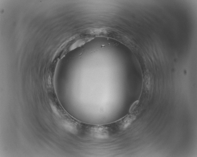 X0000052940375200507081150