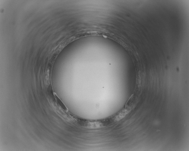 X0000052940376200507081150