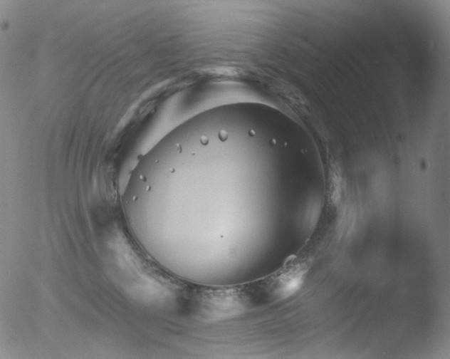 X0000052940377200507081150