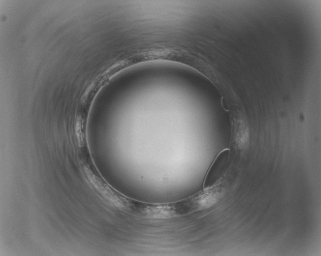 X0000052940378200507081150