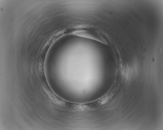 X0000052940379200507081150