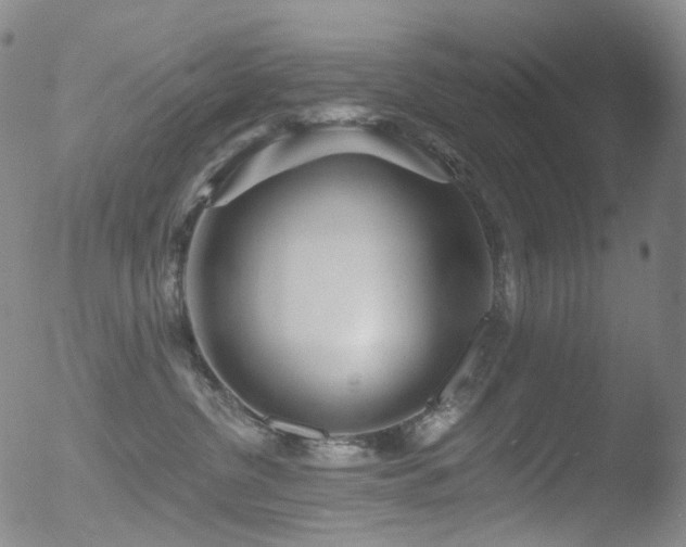 X0000052940380200507081150