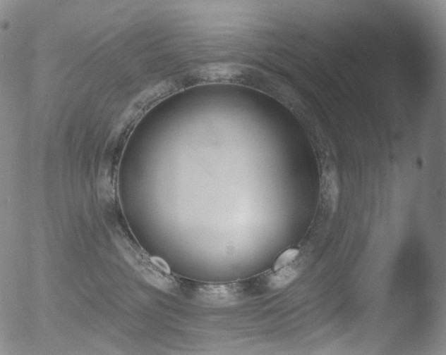 X0000052940381200507081150