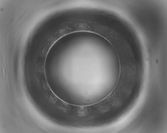 X0000052940382200507081150