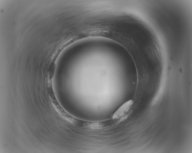 X0000052940383200507081150