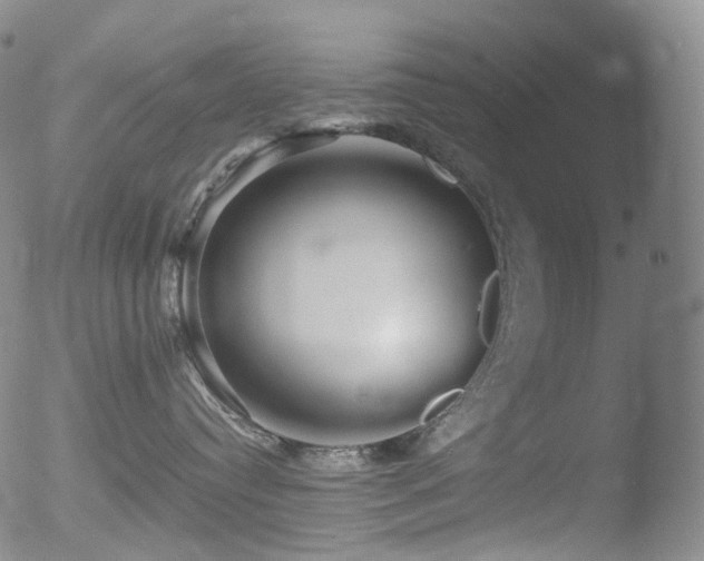 X0000052940384200507081150