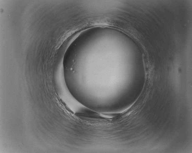 X0000052940385200507081149