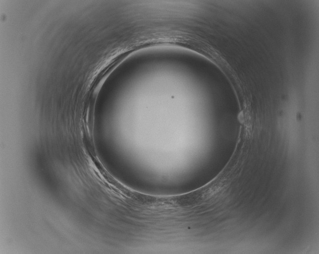 X0000052940386200507081149