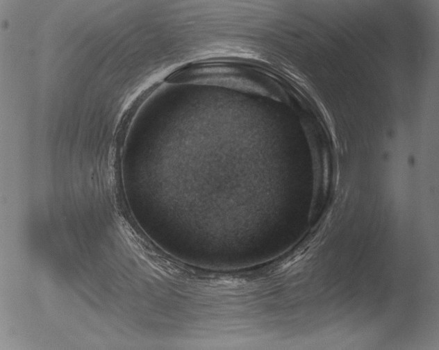 X0000052940387200507081149