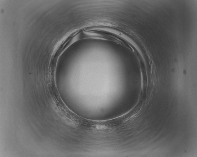 X0000052940388200507081149