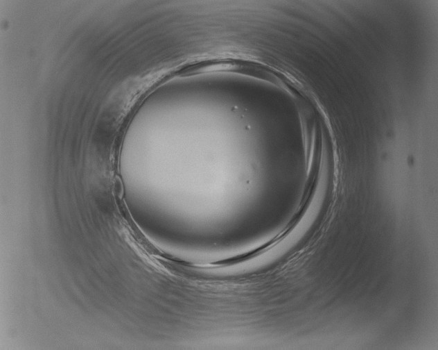 X0000052940389200507081149