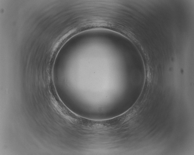 X0000052940390200507081149