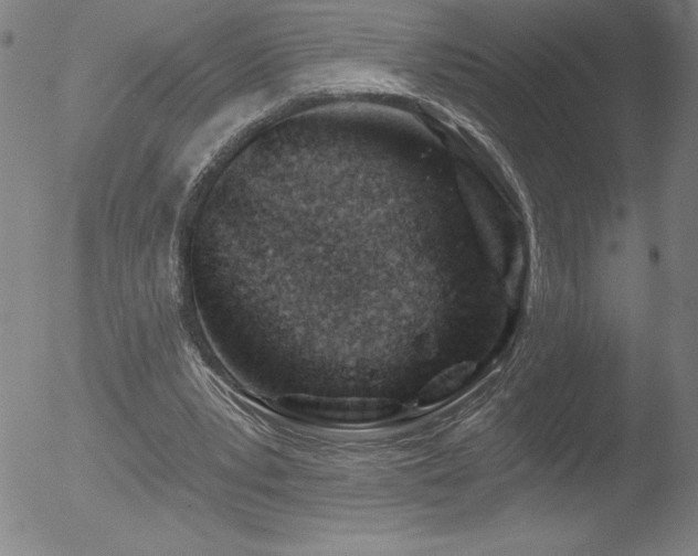 X0000052940391200507081149