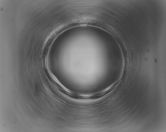 X0000052940392200507081149