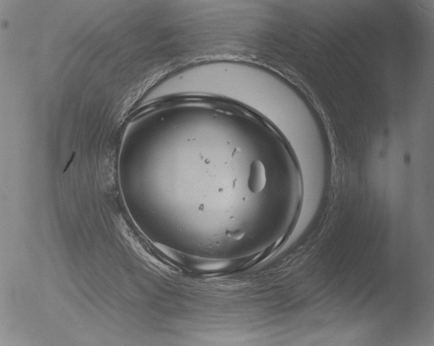 X0000052940393200507081149