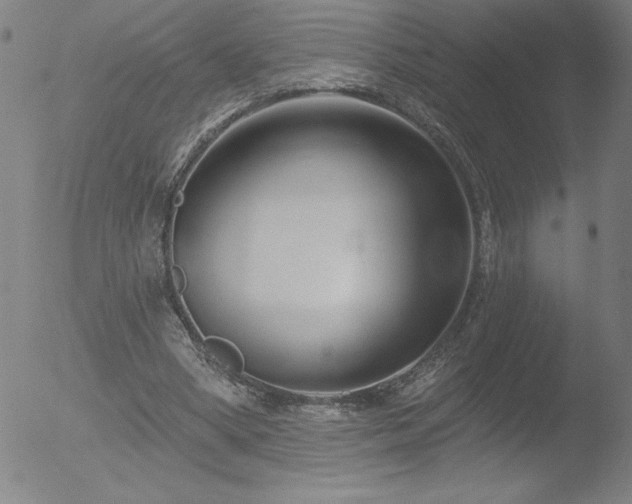 X0000052940394200507081149