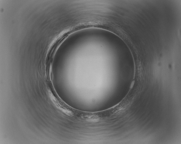 X0000052940395200507081149