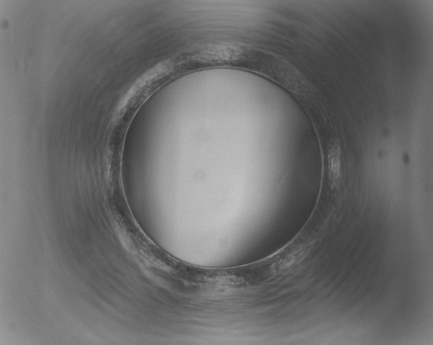 X0000052940396200507081149