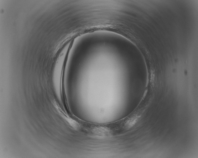 X0000052940397200507081149