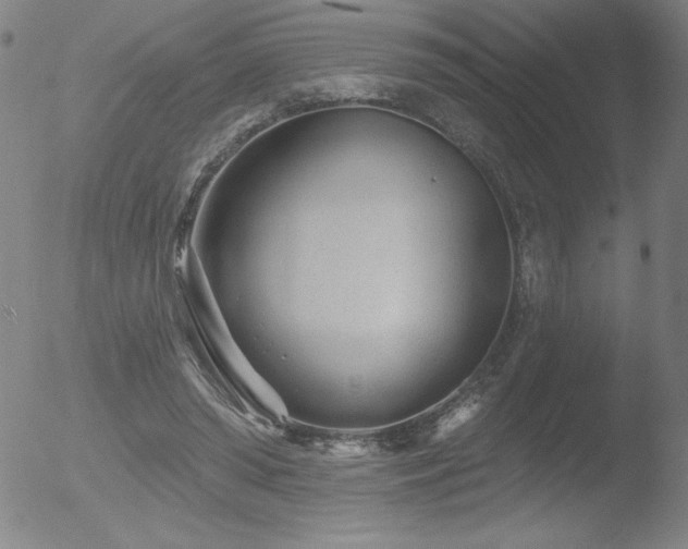 X0000052940398200507081149