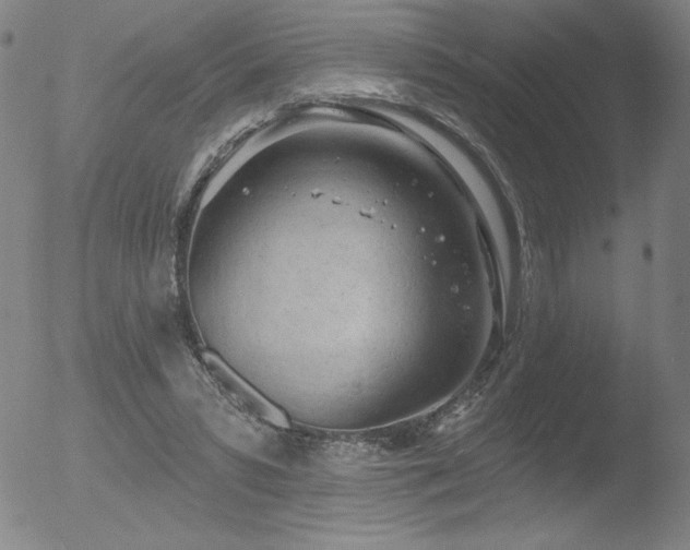 X0000052940399200507081149