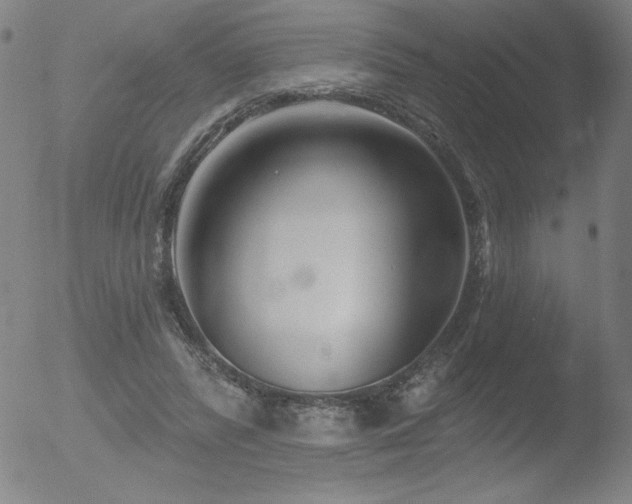 X0000052940400200507081149