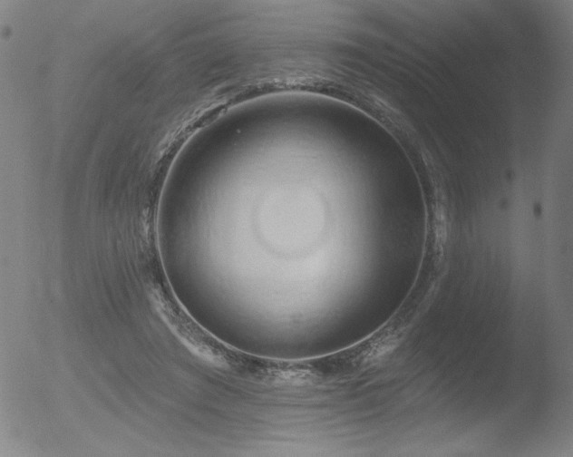 X0000052940401200507081149