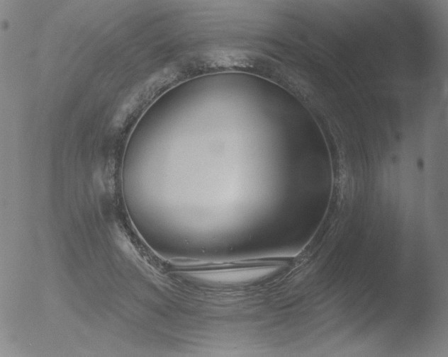 X0000052940402200507081149