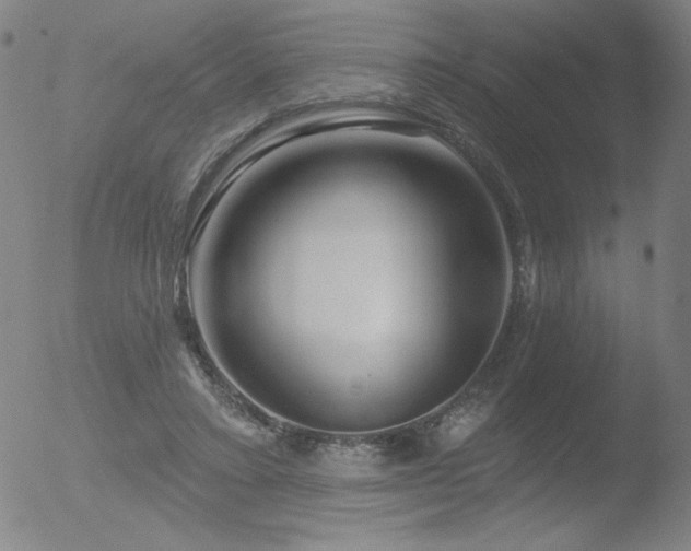 X0000052940403200507081149