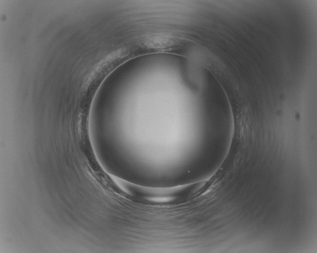 X0000052940404200507081149