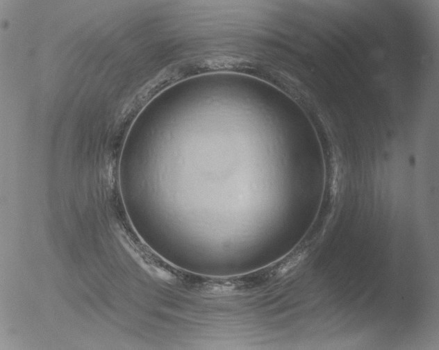 X0000052940405200507081149