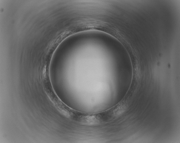 X0000052940406200507081149