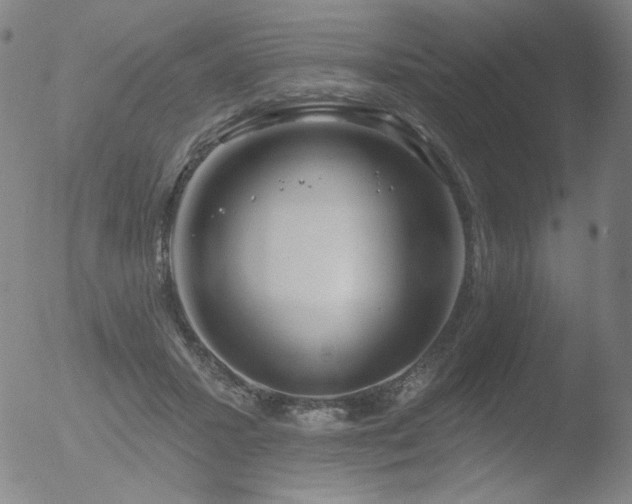 X0000052940407200507081149