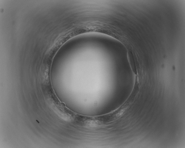 X0000052940408200507081149