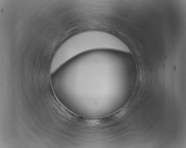 X0000052940409200507081149