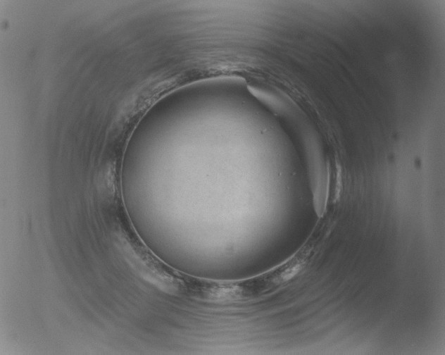 X0000052940410200507081149