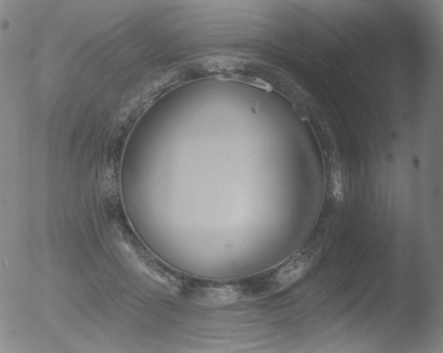 X0000052940411200507081149