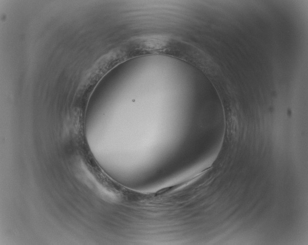 X0000052940412200507081149