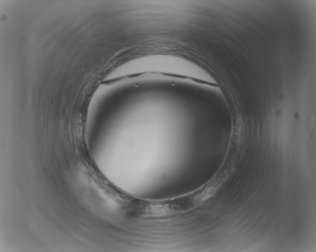 X0000052940413200507081149