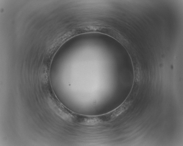 X0000052940414200507081149