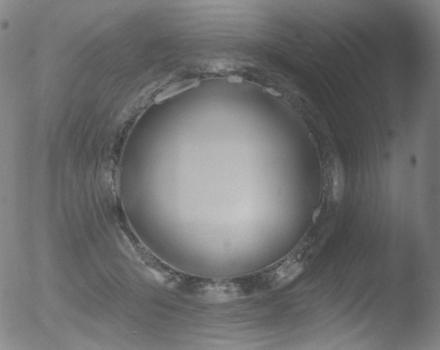 X0000052940415200507081149